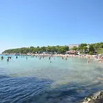 Tomislav مورتير